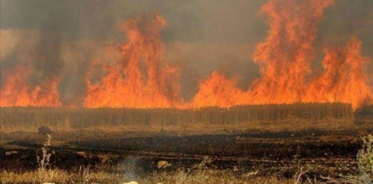 صورة توضيحية.jpg