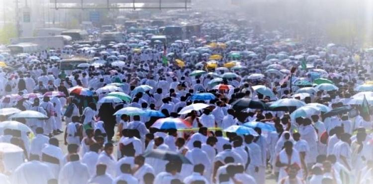 بث مباشر: بدء توافد ضيوف الرحمن على صعيد عرفات