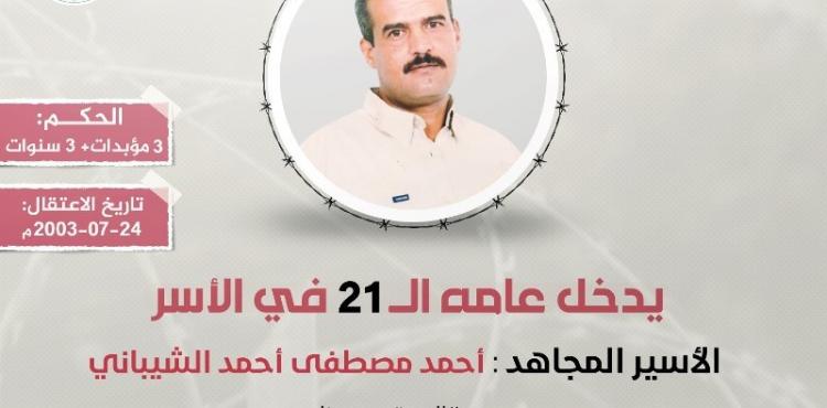 الأسير أحمد الشيباني.jpeg