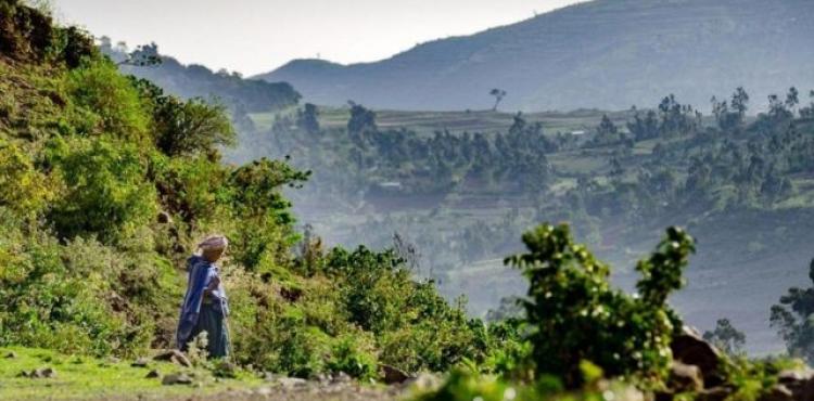 اختطاف إسرائيلي في أثيوبيا.jpg