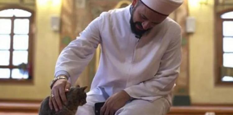 فيديو القطة مع الإمام التركي يعيد مقطع الشيخ وليد مهساس الان.jpg