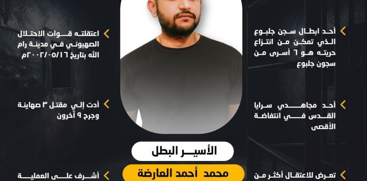 محمد العارضة