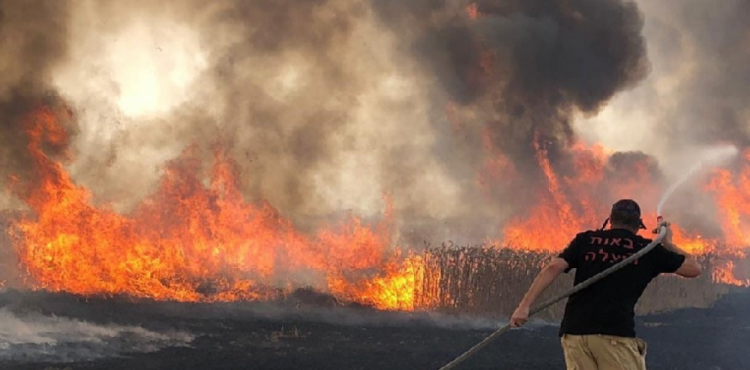 حرائق لدى الاحتلال.png
