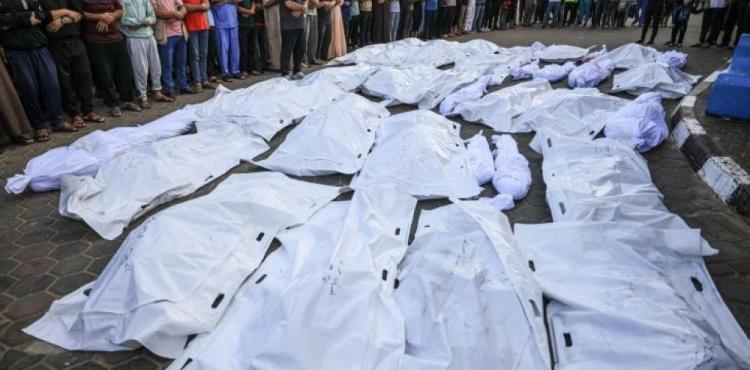 شهداء اليوم.jpg