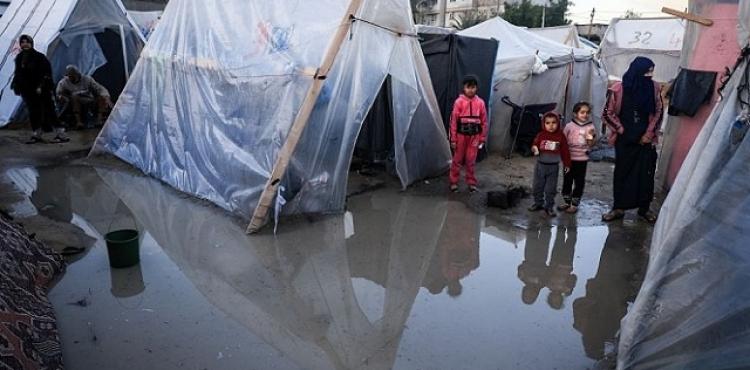 خيام النازحين في غزة.jpg