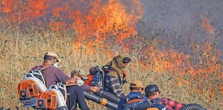 حرائق في شمال فلسطين المحتلة.jpg