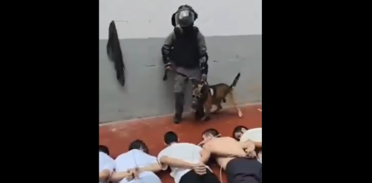 الأسرى في سجون العدو.png