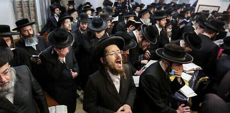 الحريديم.jpg