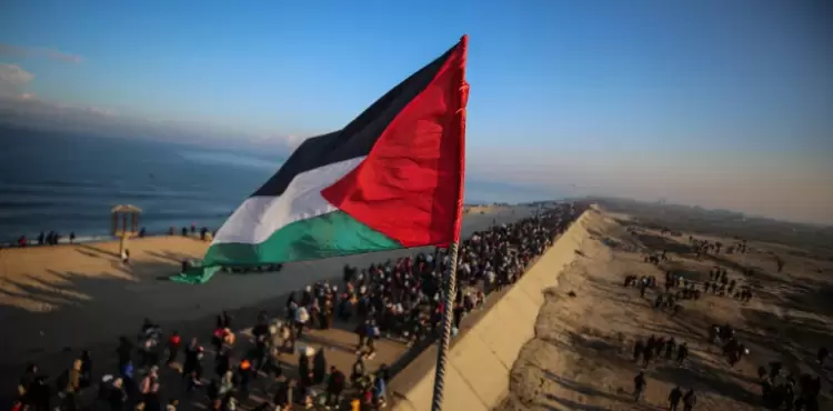 gaza7-1737990847.webp