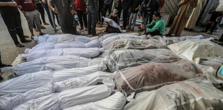 شهداء - أرشيفية