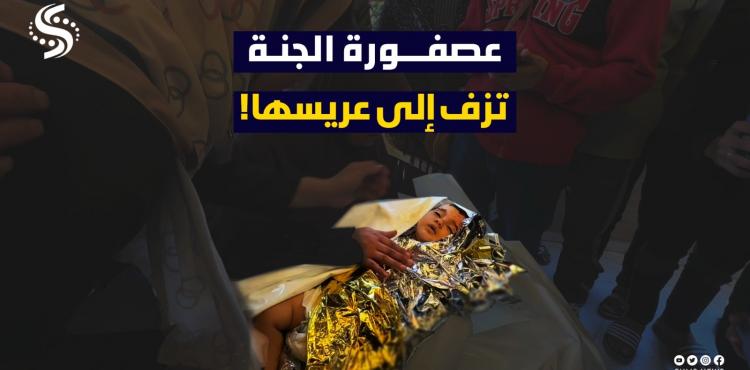 الطفلة الشهيدة مسك عليان تصميم.jpg