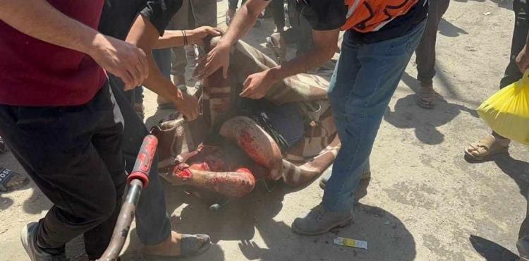 شهداء وجرحى.jpg