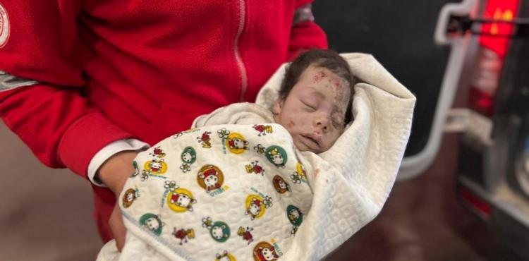 شهداء الحرب على غزة