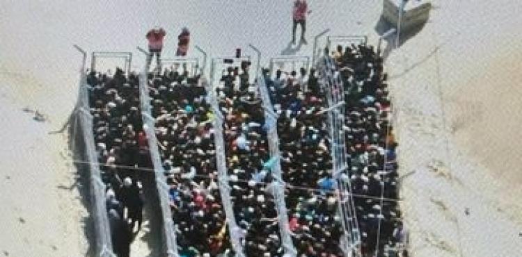 توزيع المساعدات الأميركية الإسرائيلية في غزة.jpeg