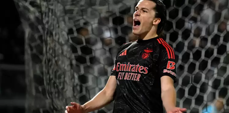 ألفارو كاريراس