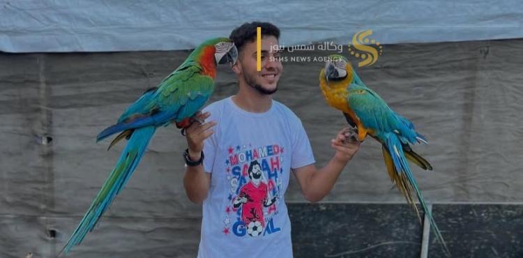 تربية الحيوانات في غزة