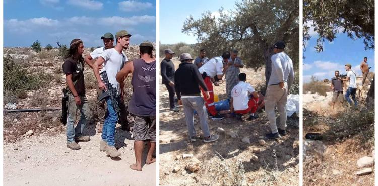 اعتداءات المستوطنين خلال موسم قطف الزيتون في الضفة.jpg