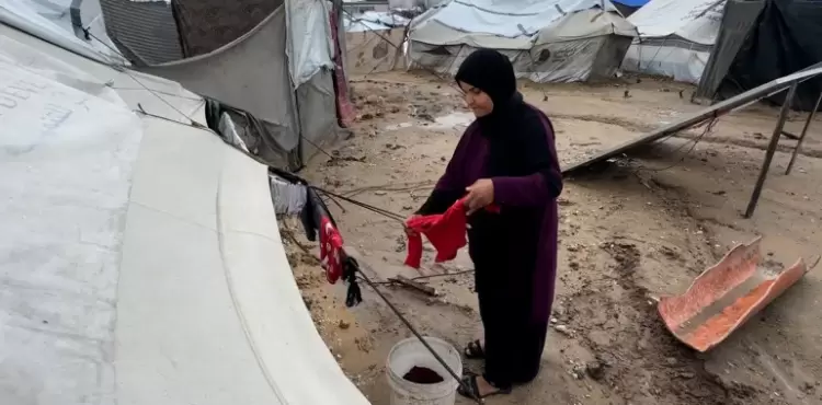 أرامل غزة