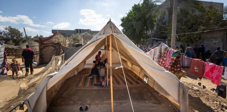 التعليم في خيام النازحين