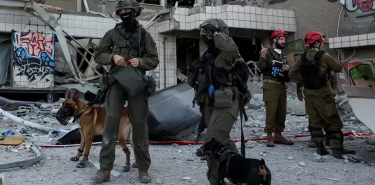 بيت مشيمش.webp