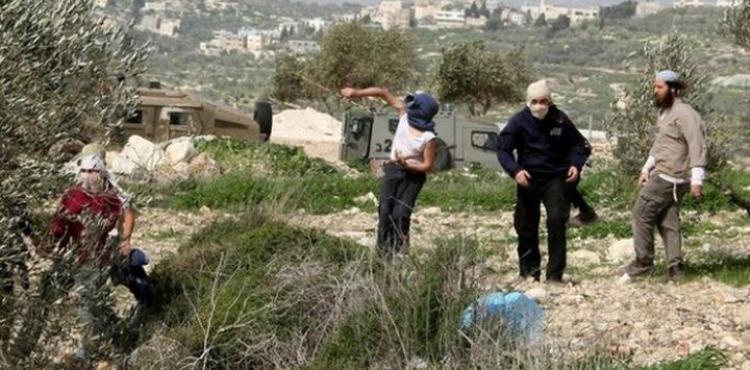 مستوطنون يهاجمون أراضي فلسطينية