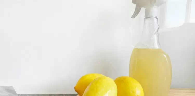 منظفات طبيعية في المنزل