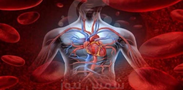 دعامات الأوعية الدموية