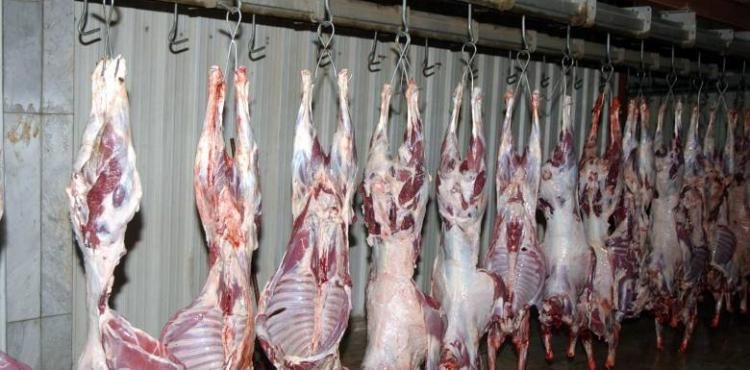 لحوم أضاحي بغزة