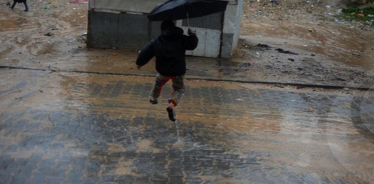 سيول منخفض (14)