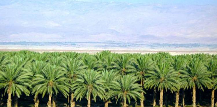 أراضي الاغوار