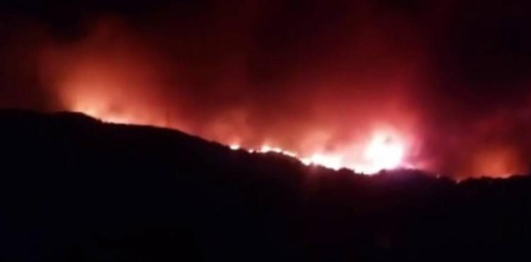 الرياح القوية تسببت في انتشار النيران في المنطقة