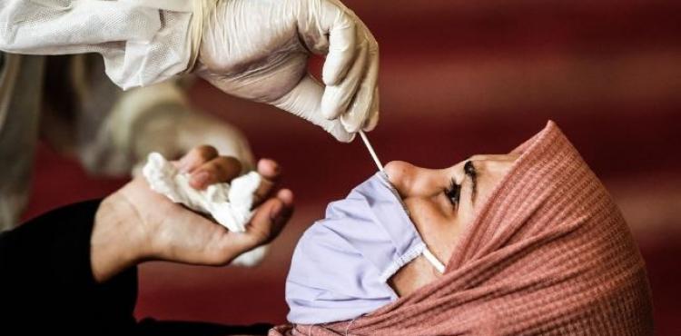 مسحات كورونا؟.JPG