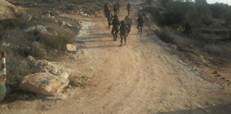 صورة من المكان