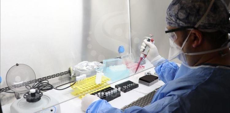 فحص كورونا غزة