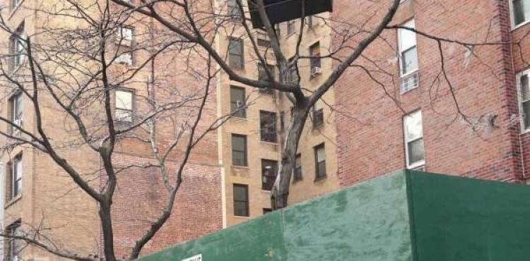 أريكة صوفا على شجرة