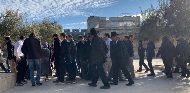 مستوطنون يقتحمون باحات المسجد الأقصى