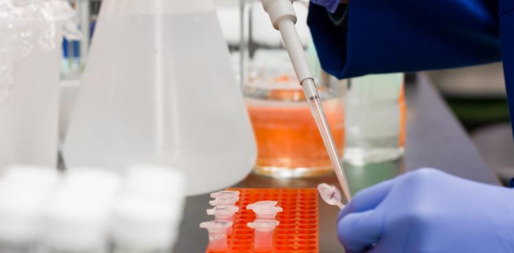 فحص كورونا.jpg