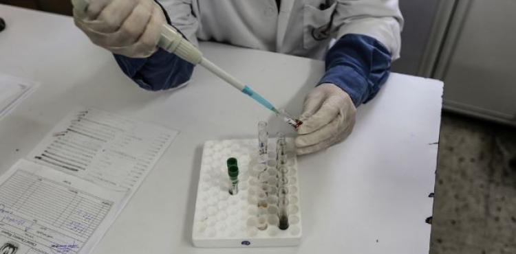 كورونا غزة.JPG