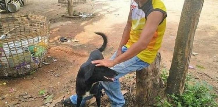 الكلب المنقذ للطفلة