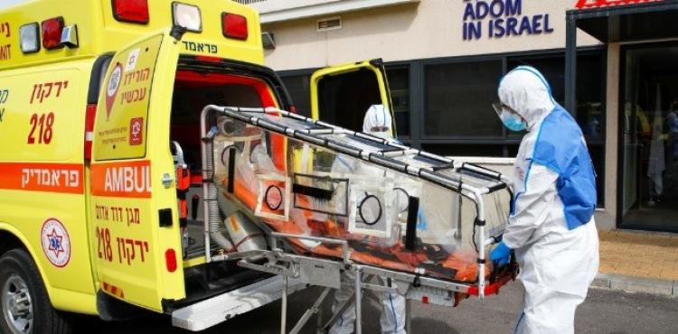 مقدسي كورونا