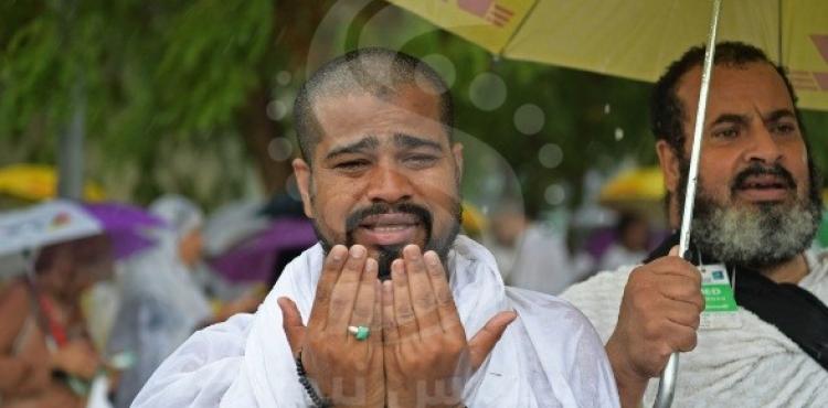 بدون عنوان.jpg