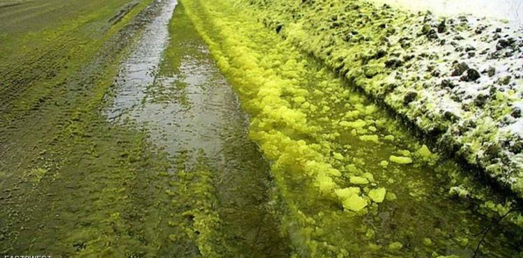 ثلوج خضراء في روسيا