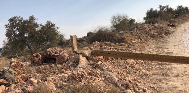 أعمدة كهرباء.JPG