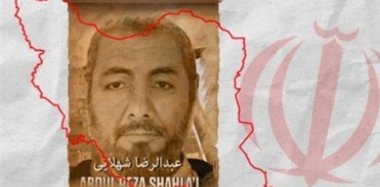 عبد الرضا شهلايي