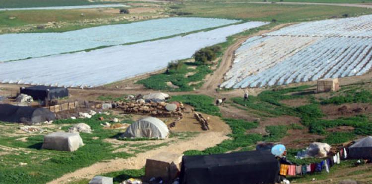 منطقة الأغوار 