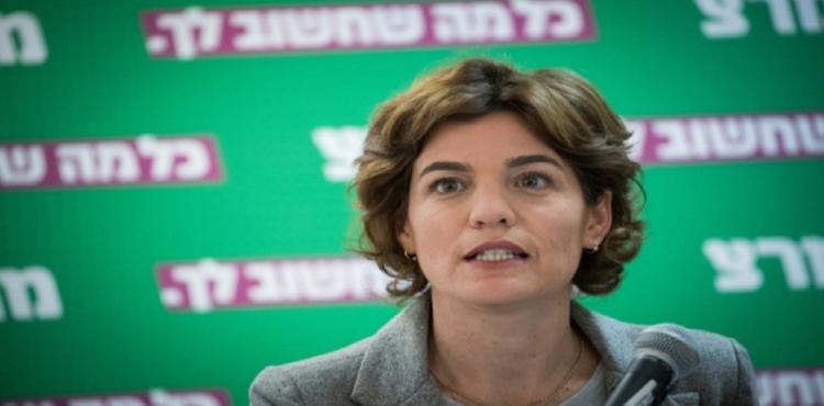 ميرتس تمار زندبرغ