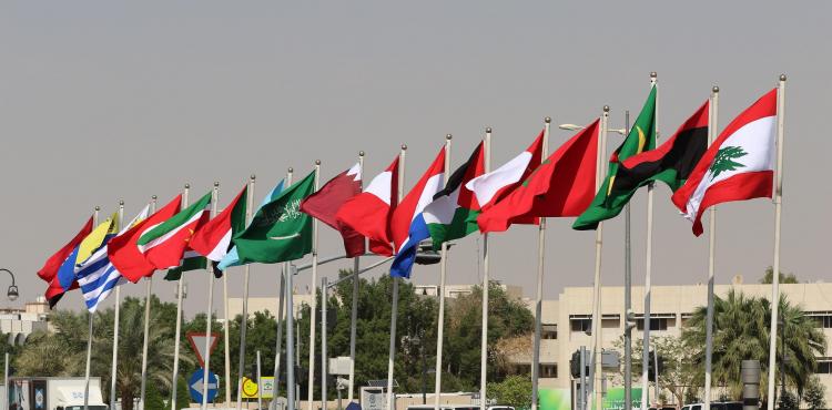 قمة عربية 