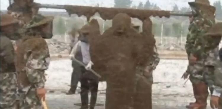 326 ألف نحلة على جسم رجل صيني