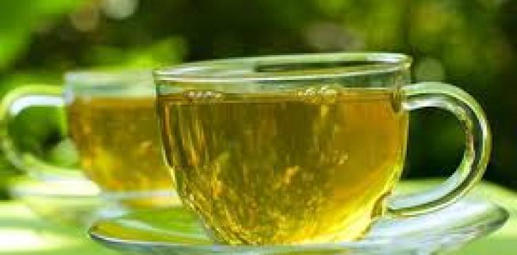 الشاي الأخضر 