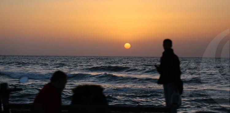 مينا بحر ‫(29601677)‬ ‫‬